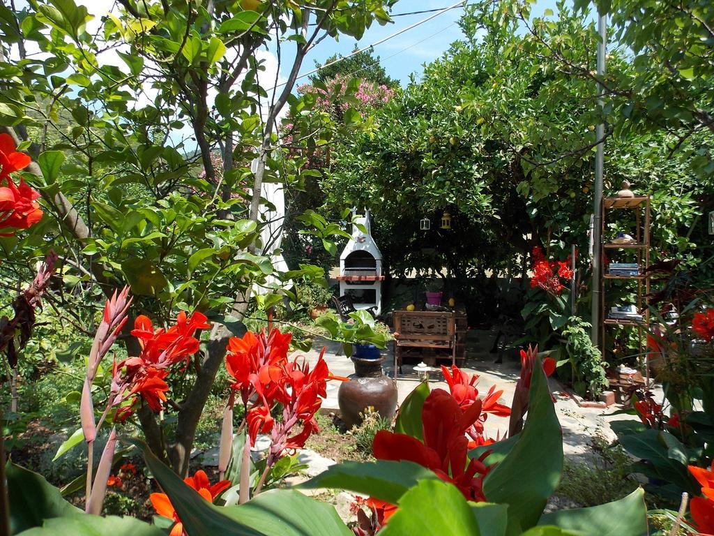 Stamatia'S Garden Hotel Agnontas Exterior photo