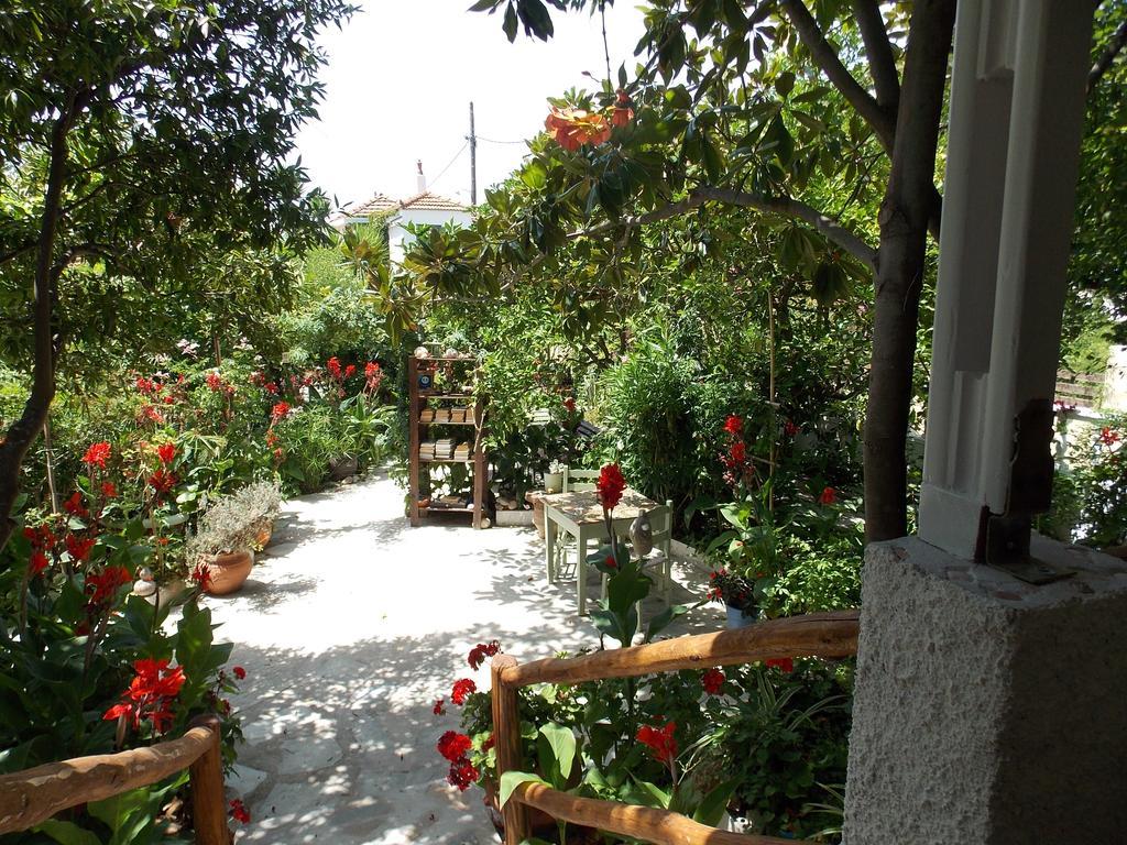 Stamatia'S Garden Hotel Agnontas Exterior photo