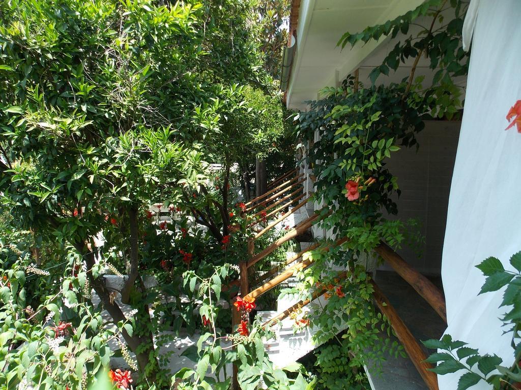 Stamatia'S Garden Hotel Agnontas Exterior photo